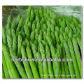 New F1 Hybrid Asparagus seeds for growing--High Yield